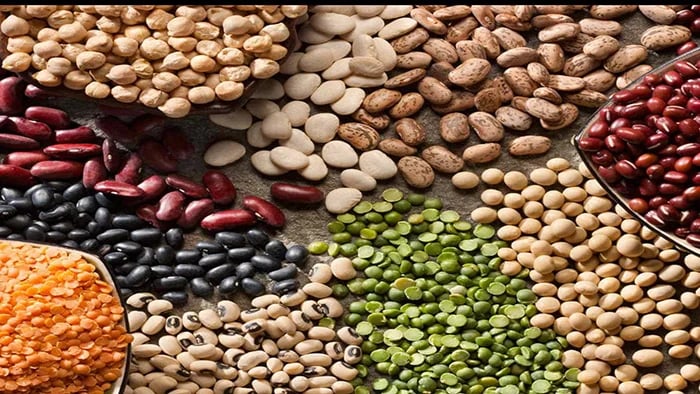benefits-of-high-protein-pulses-in-your-kids-diet