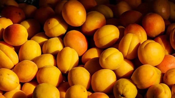appricots