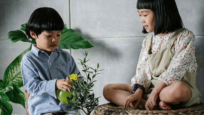 indoor-gardening