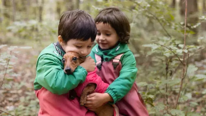 The Role of Pets in Child Development: Lessons in Responsibility and Empathy - Introduction