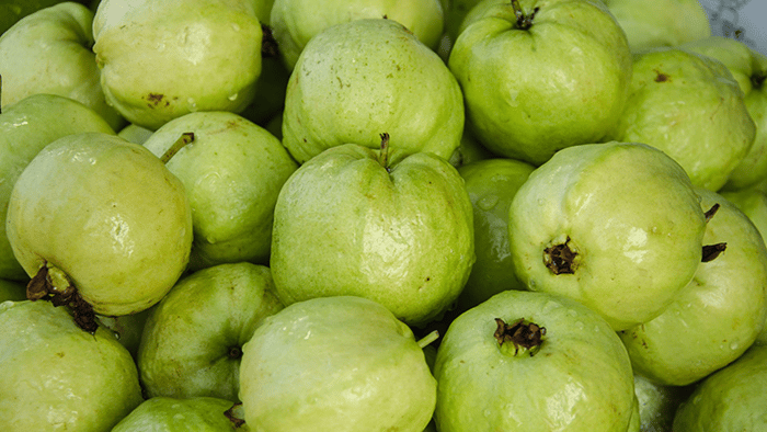 guava