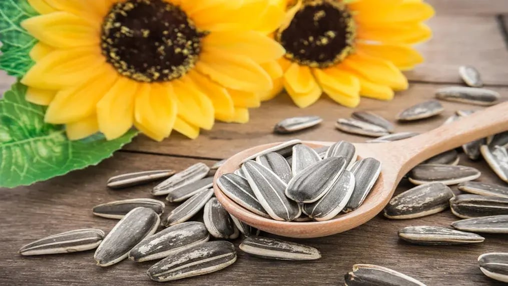 sunflower-seeds