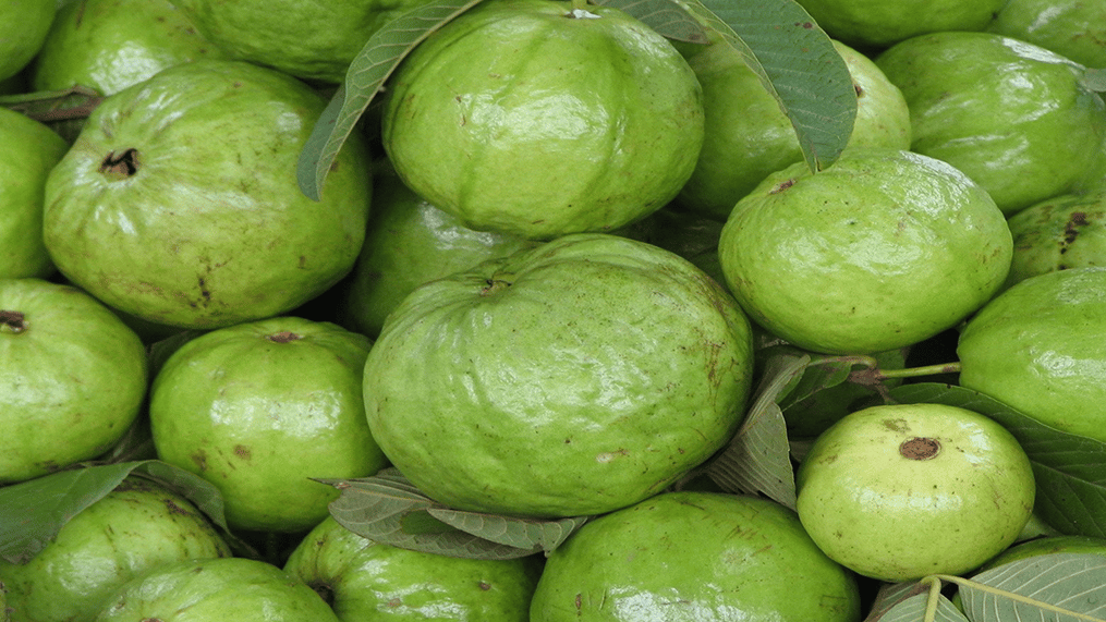 guavas